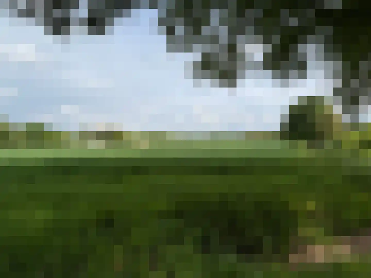 Wymeersterweg Bellingwolde thumbnail 14