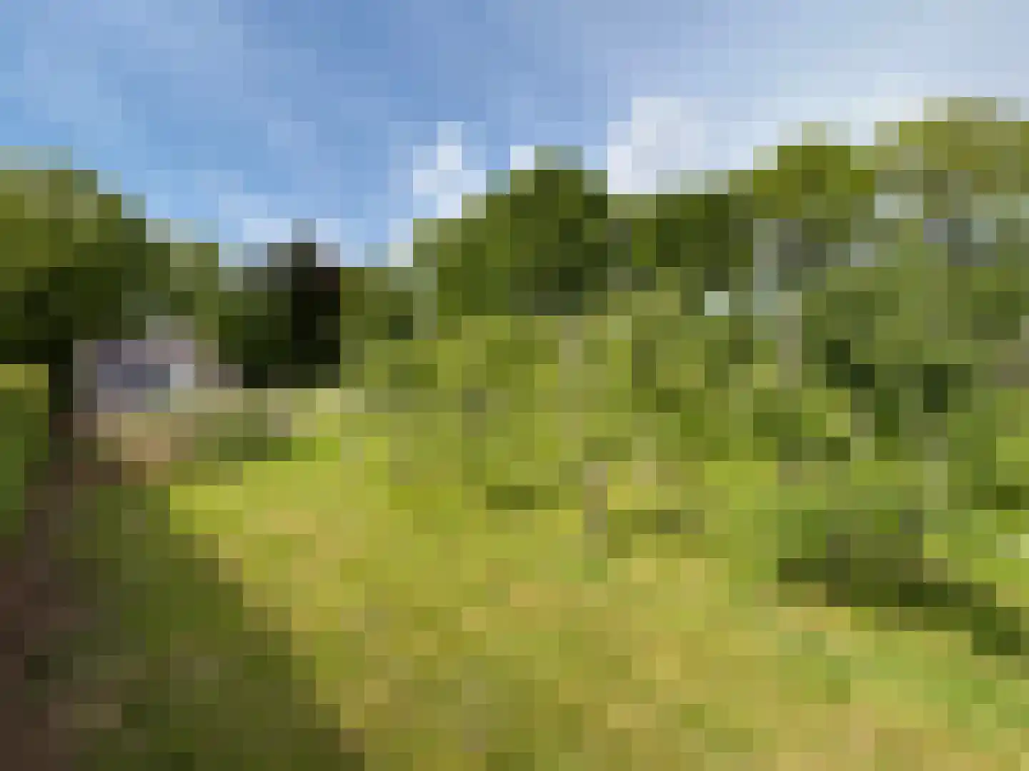 Wymeersterweg Bellingwolde thumbnail 4