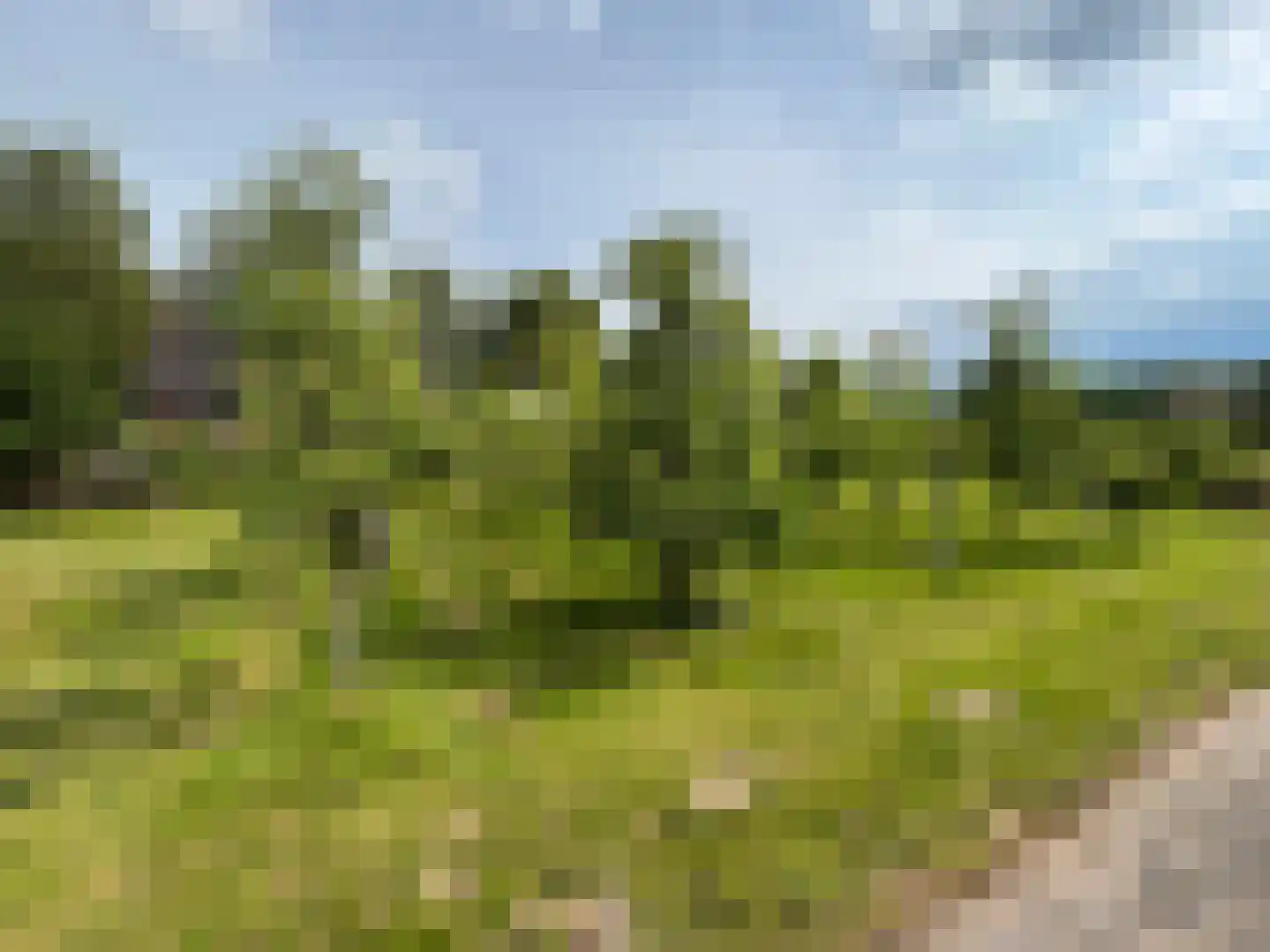 Wymeersterweg Bellingwolde thumbnail 5