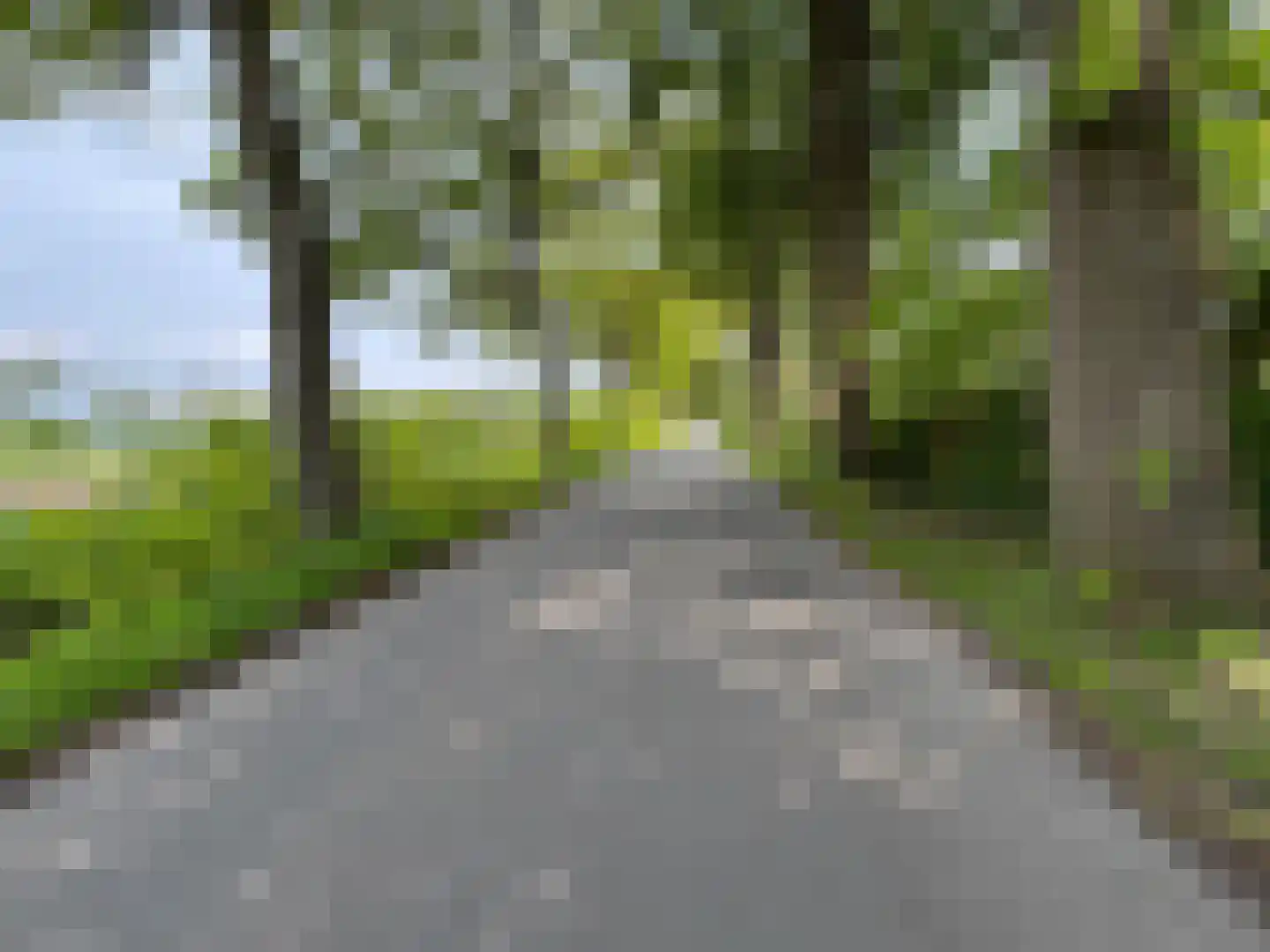 Wymeersterweg Bellingwolde thumbnail 7