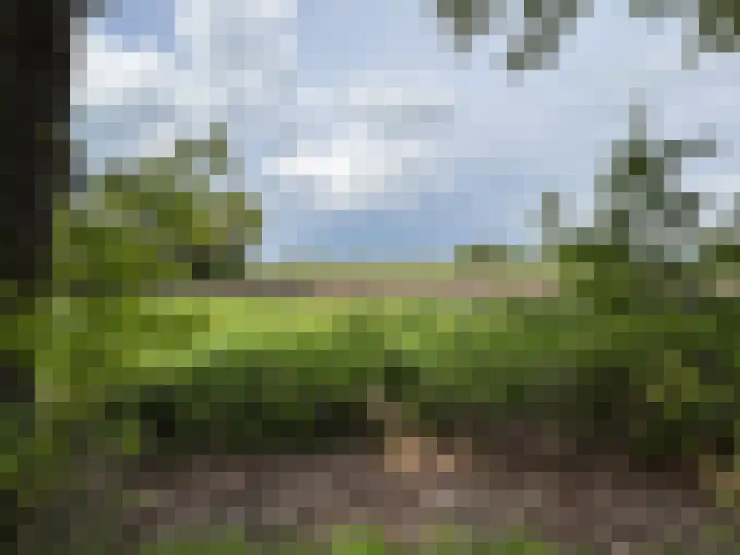 Wymeersterweg Bellingwolde thumbnail 8