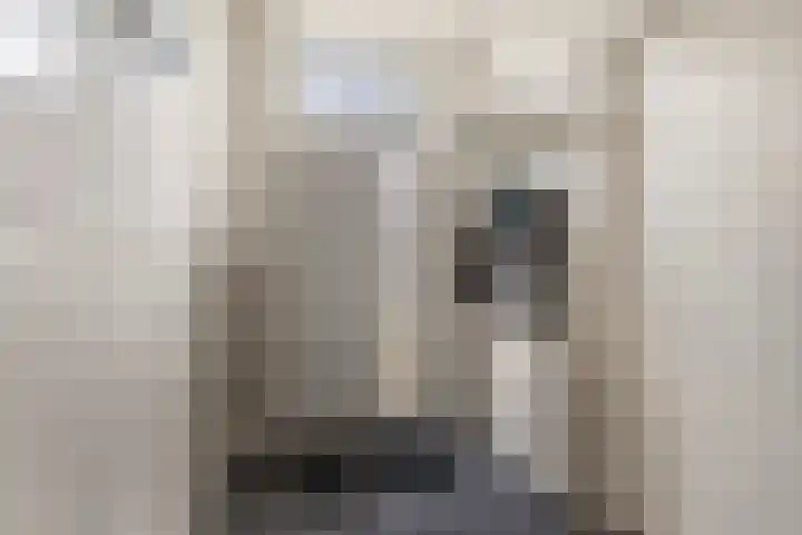 Wyns 17 Wyns thumbnail 15