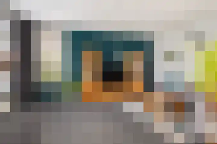 Wyns 17 Wyns thumbnail 17