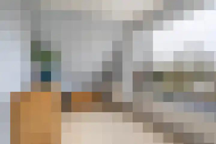 Wyns 17 Wyns thumbnail 40
