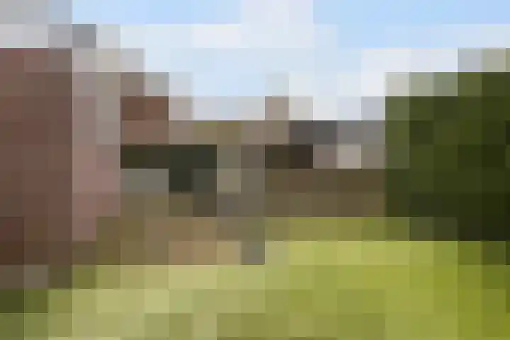 Wyns 17 Wyns thumbnail 46