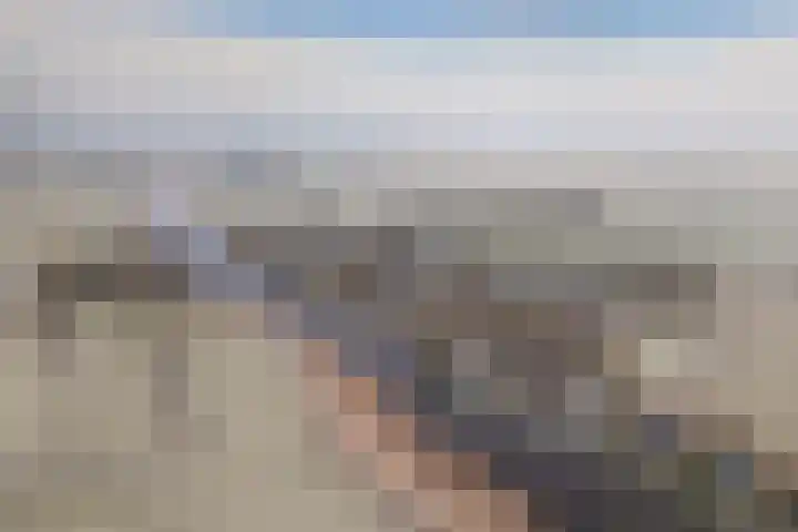 Wyns 17 Wyns thumbnail 49