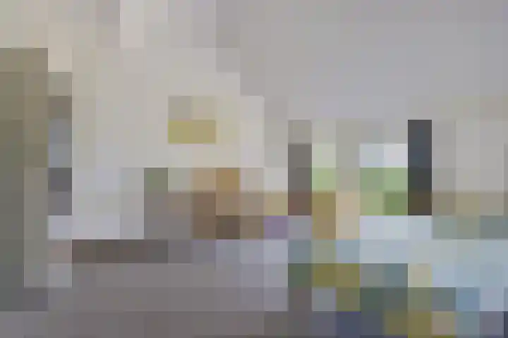 Wyns 18 Wyns thumbnail 16