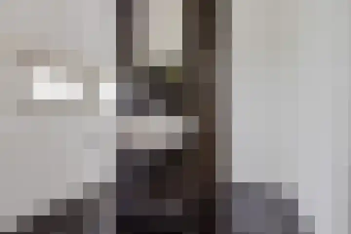 Wyns 18 Wyns thumbnail 17
