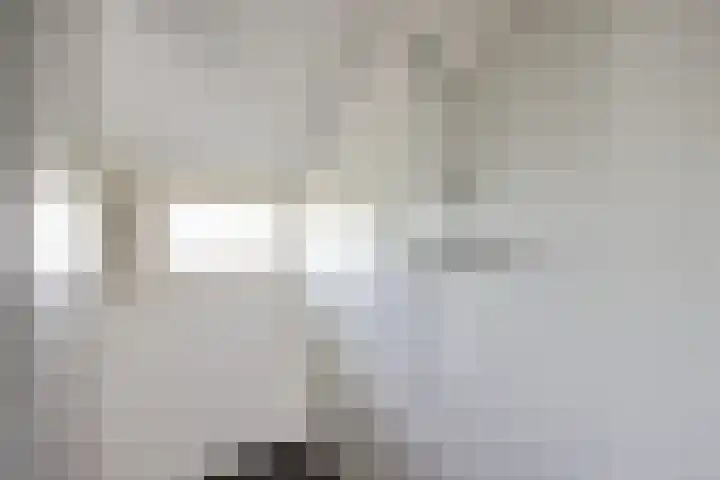 Wyns 18 Wyns thumbnail 18