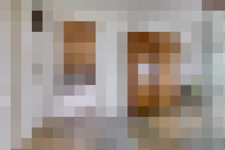Wyns 18 Wyns thumbnail 26