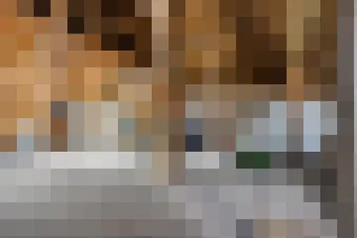 Wyns 18 Wyns thumbnail 28