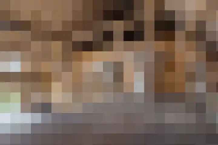 Wyns 18 Wyns thumbnail 29