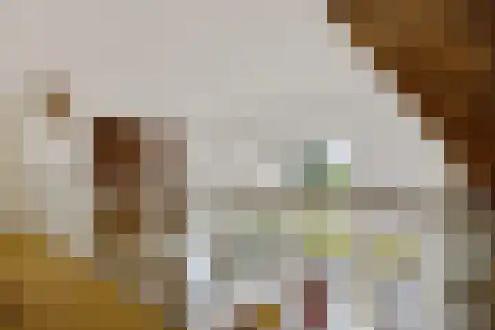 Wyns 18 Wyns thumbnail 31