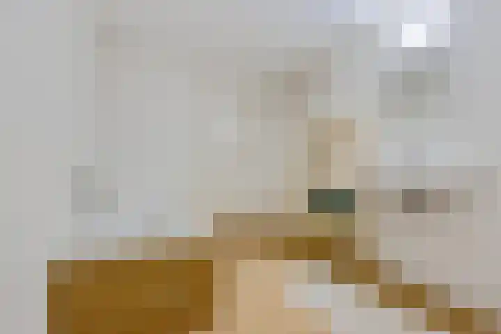 Wyns 18 Wyns thumbnail 38
