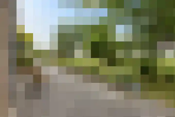 Wyns 18 Wyns thumbnail 40