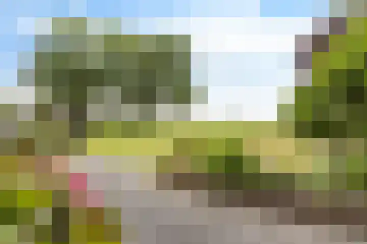 Wyns 18 Wyns thumbnail 41