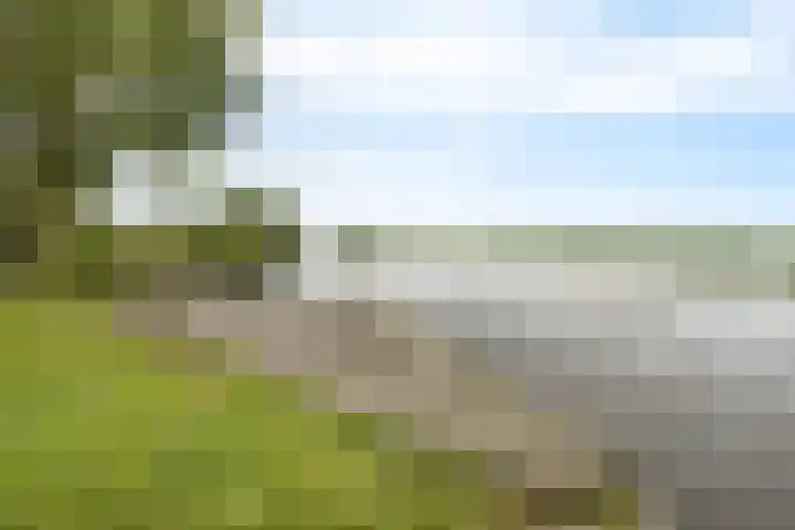Wyns 18 Wyns thumbnail 42