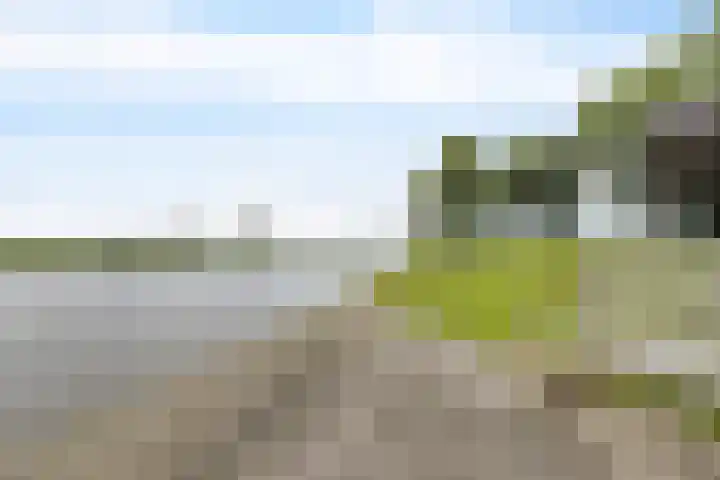 Wyns 18 Wyns thumbnail 43