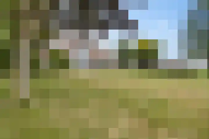Wyns 18 Wyns thumbnail 44