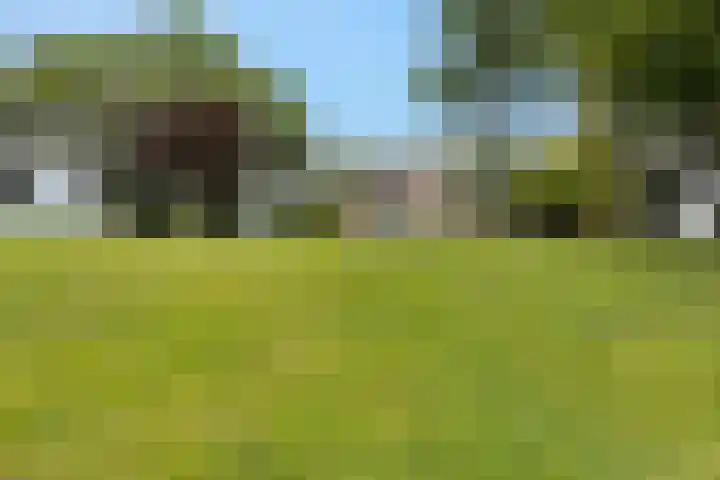Wyns 18 Wyns thumbnail 45