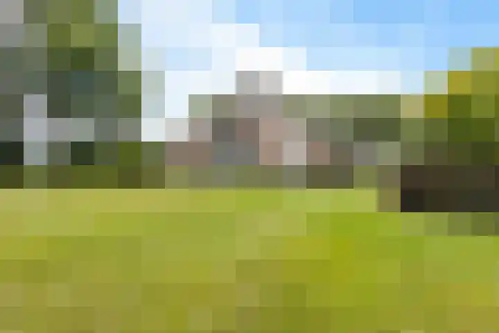 Wyns 18 Wyns thumbnail 46