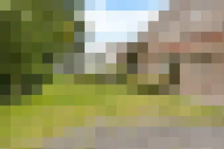 Wyns 18 Wyns thumbnail 47