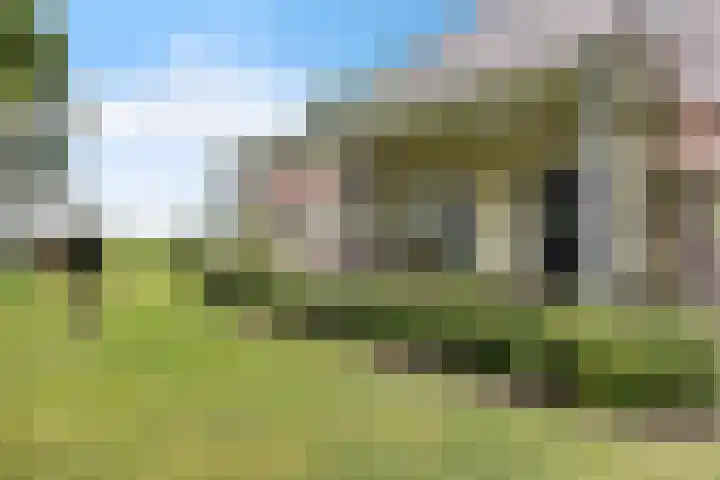 Wyns 18 Wyns thumbnail 48