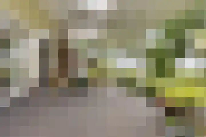 Wyns 18 Wyns thumbnail 49