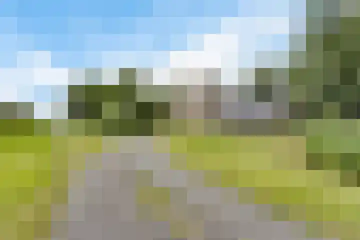 Wyns 18 Wyns thumbnail 53