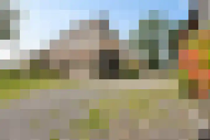 Wyns 18 Wyns thumbnail 54