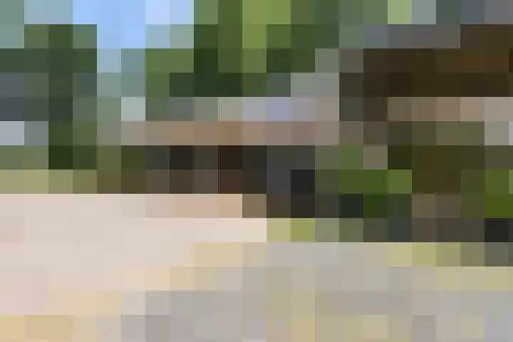 Wyns 18 Wyns thumbnail 55