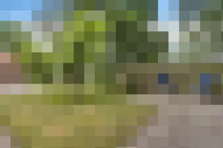 Wyns 18 Wyns thumbnail 58