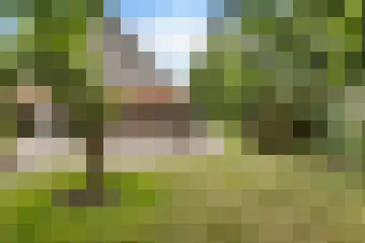 Wyns 18 Wyns thumbnail 59