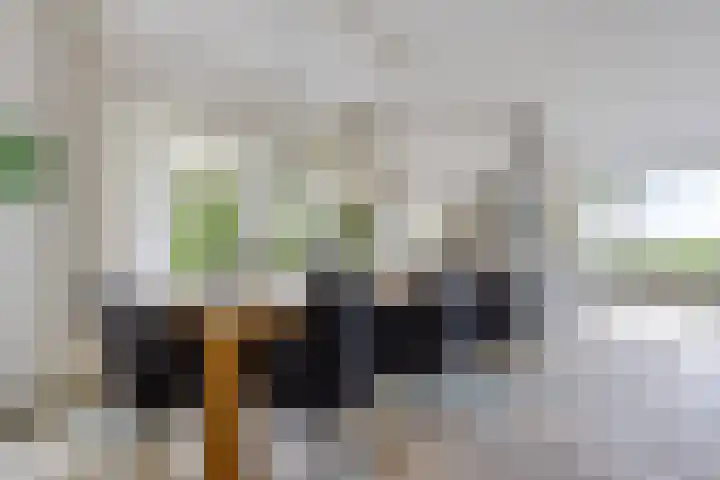 Wyns 18 Wyns thumbnail 6