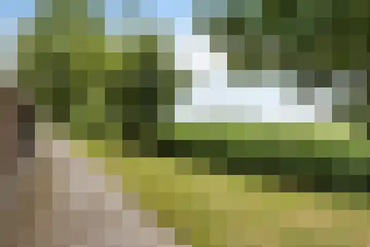 Wyns 18 Wyns thumbnail 60