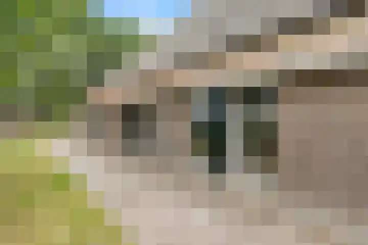 Wyns 18 Wyns thumbnail 61