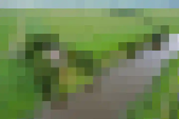 Wyns 18 Wyns thumbnail 63