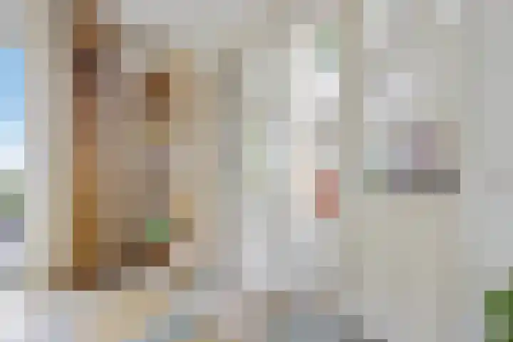 Wyns 18 Wyns thumbnail 7