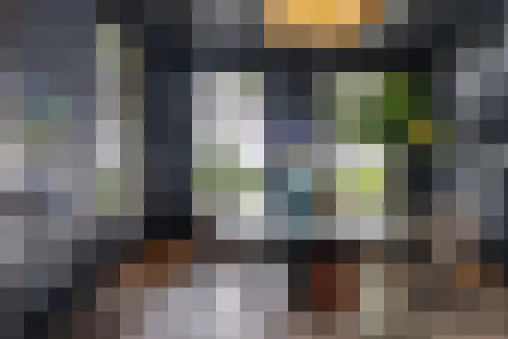 Wyns 39 Wyns thumbnail 14