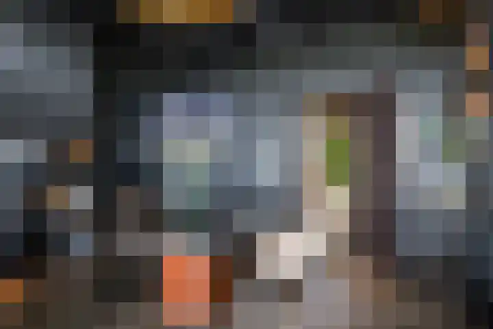 Wyns 39 Wyns thumbnail 15