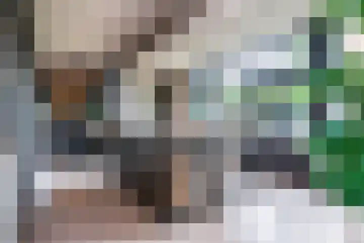 Wyns 39 Wyns thumbnail 16