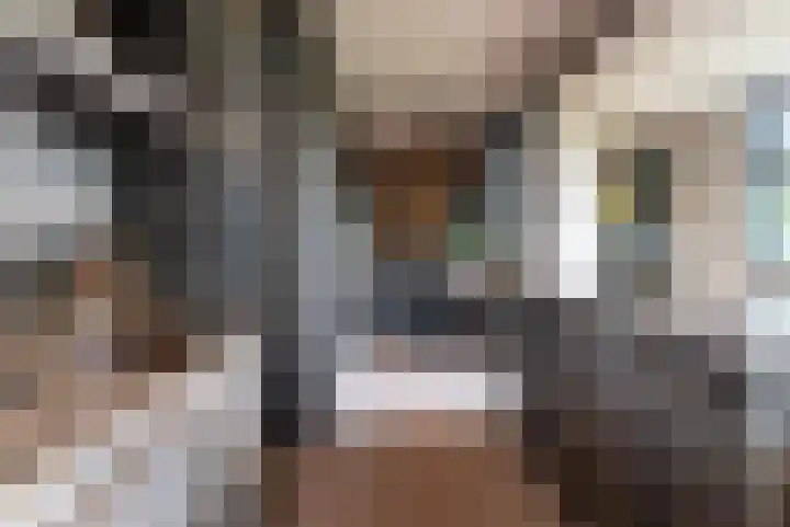 Wyns 39 Wyns thumbnail 17
