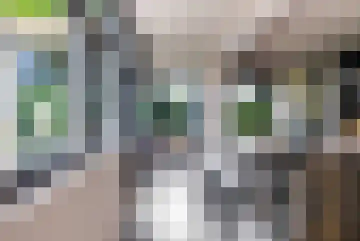 Wyns 39 Wyns thumbnail 20