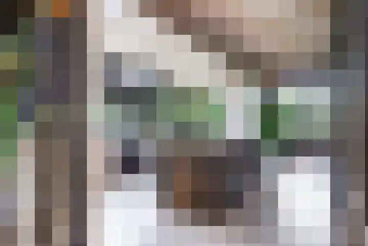 Wyns 39 Wyns thumbnail 21