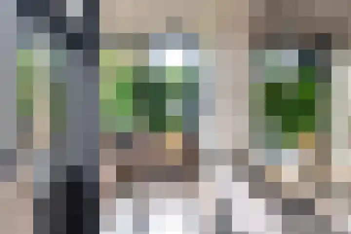 Wyns 39 Wyns thumbnail 23