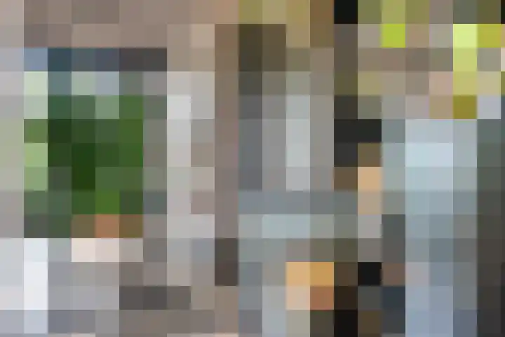 Wyns 39 Wyns thumbnail 24