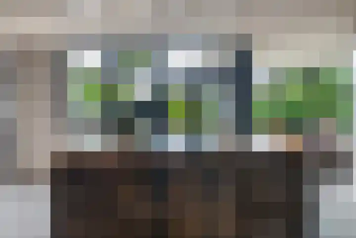 Wyns 39 Wyns thumbnail 25