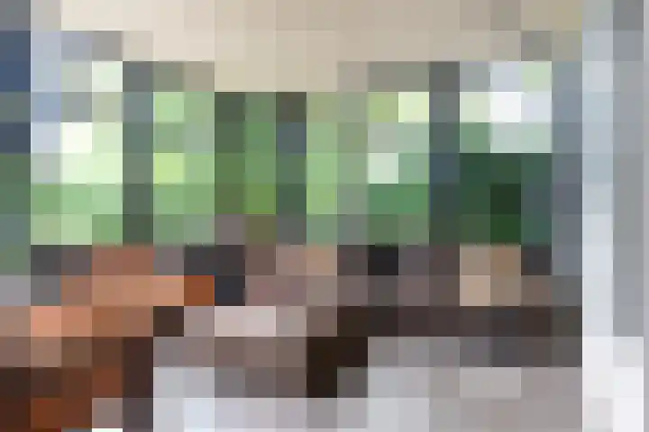Wyns 39 Wyns thumbnail 28
