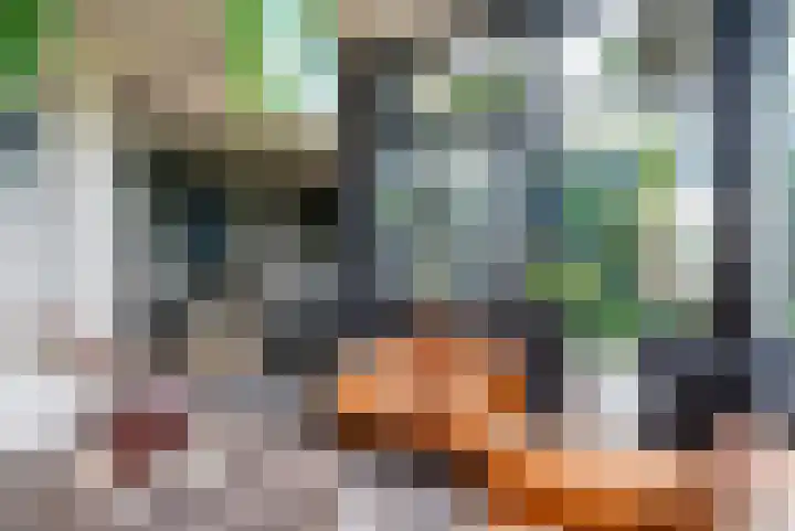 Wyns 39 Wyns thumbnail 29