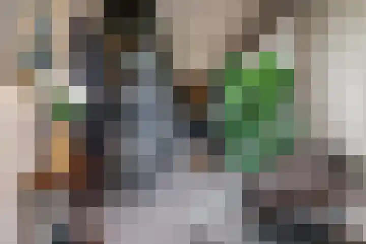 Wyns 39 Wyns thumbnail 31